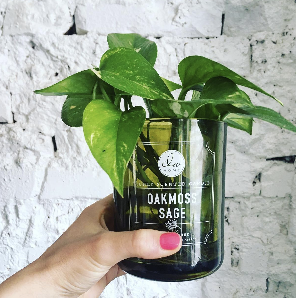 Repurpose Your Candle Jars