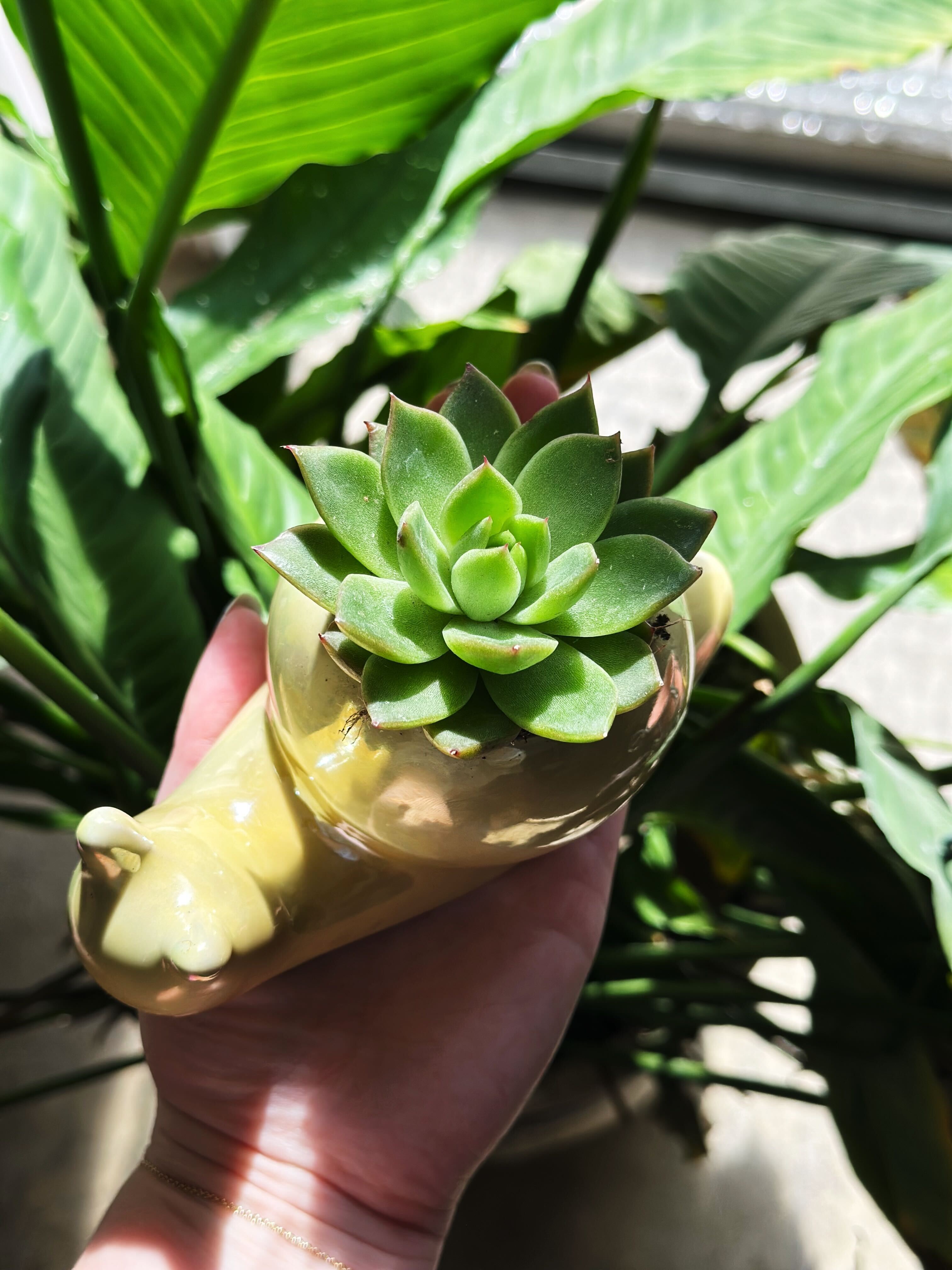 It's Earth Week!