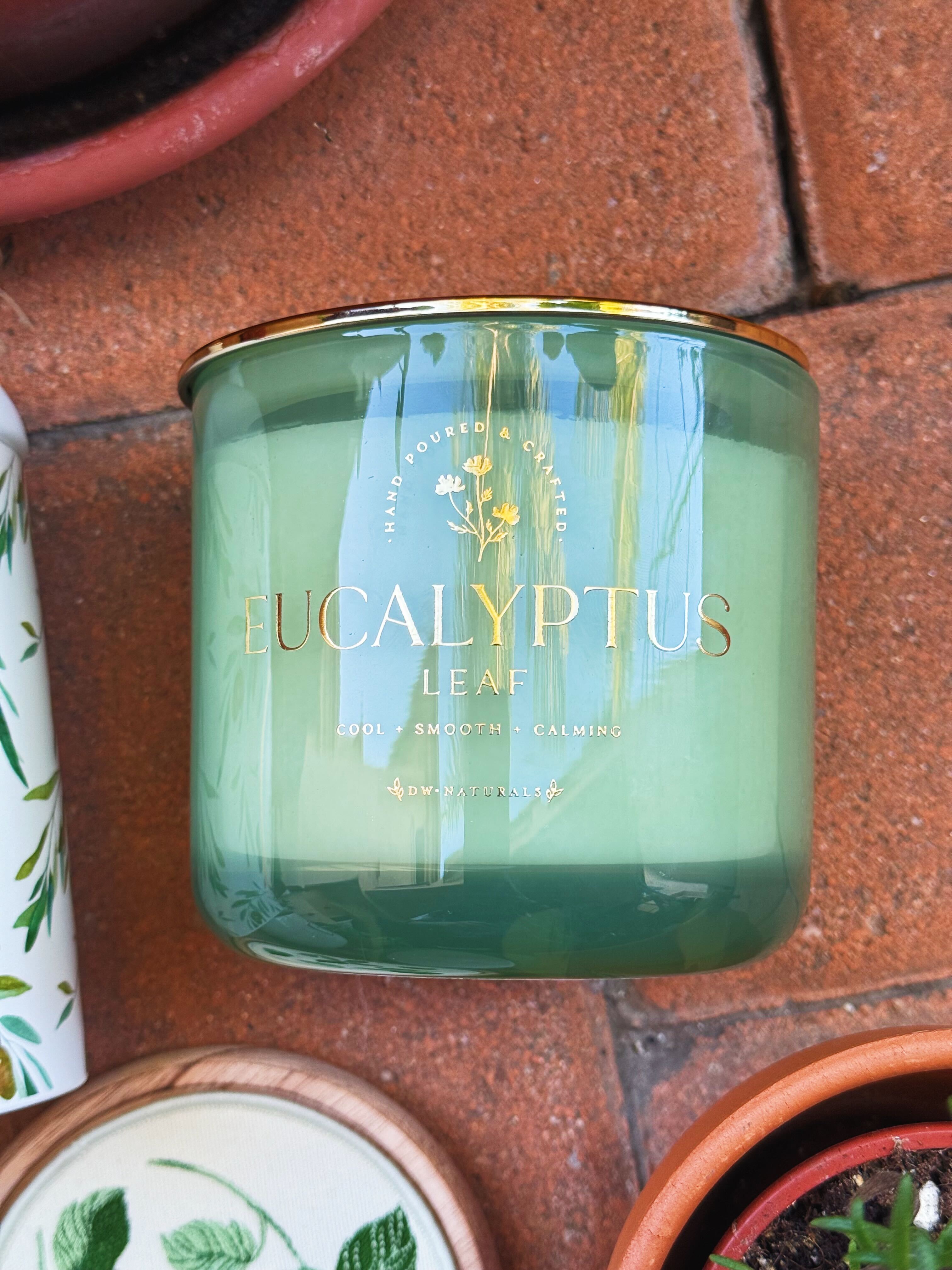 Eucalyptus Leaf Triple Wick Candle thumbnail