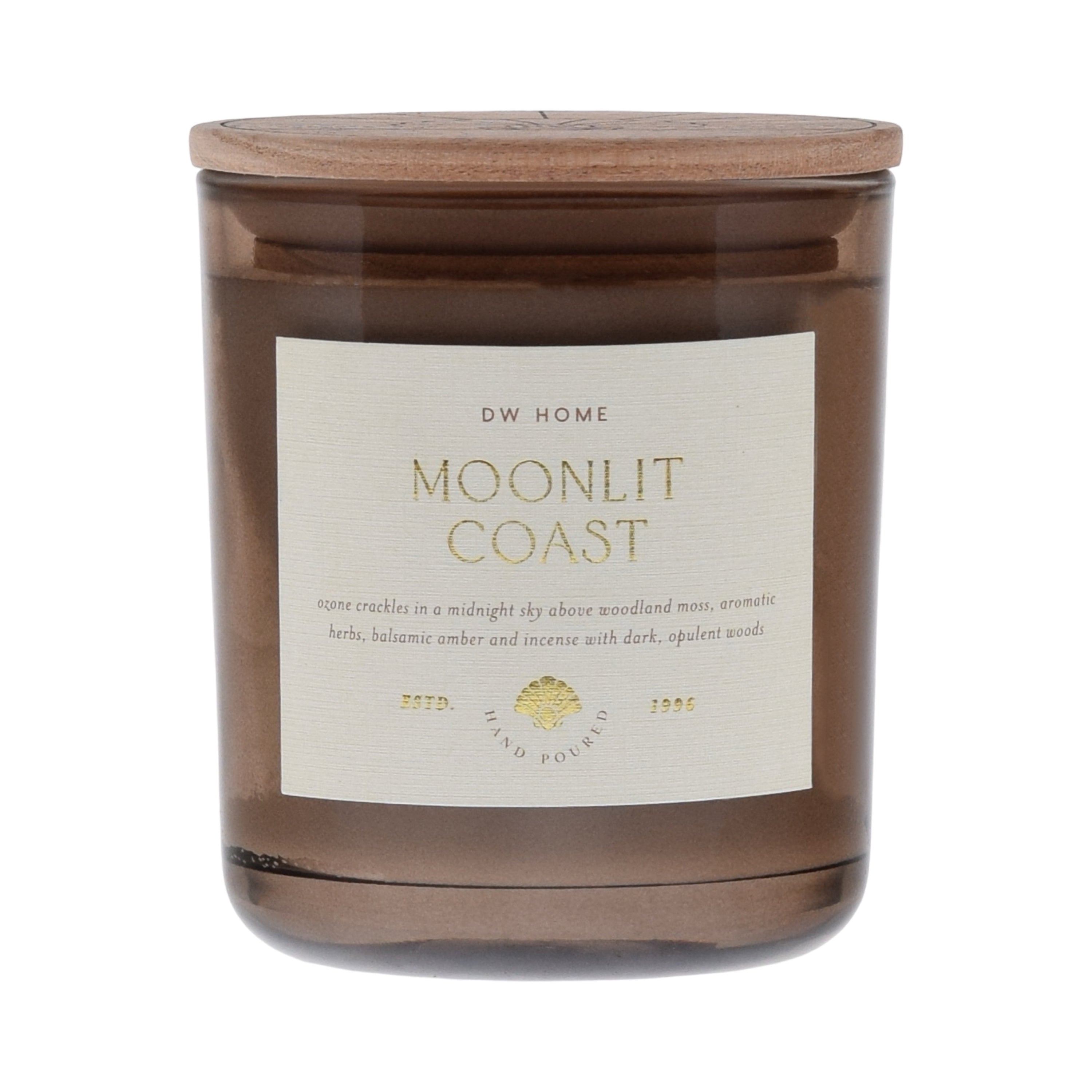 Moonlit Coast